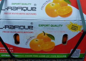 Al porto di Gioia Tauro gli agrumi arrivano anche dal Pakistan