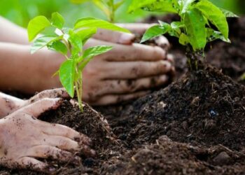 Cia Agricoltori Italiani Calabria, 8 marzo: oggi Festa della Donna acquistiamo e regaliamo piante e semi