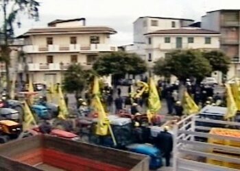 Coldiretti, Agrumicoltura: i conti non tornano, redditi falcidiati. Continua la mobilitazione il 6 marzo a Rosarno
