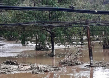 Gli Agronomi e i Dott. Forestali della Calabria: “Proteggitalia” piano nazionale per la sicurezza del territorio