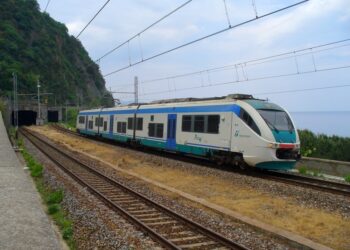 Manutenzione e diserbo dei sedimi ferroviari: l’Associazione Ferrovie in Calabria incontra il Direttore Compartimentale di RFI