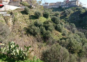 Scivola in un precipizio di circa 15 metri a Rocca di Neto, anziano salvato dai Carabinieri