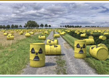 Venerdì 15 marzo, Convegno a Crotone sulla Criminalità ambientale