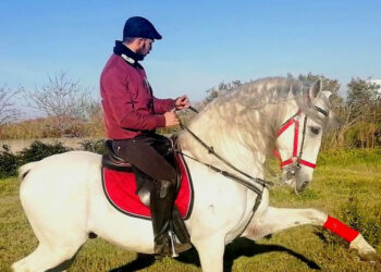 Vincenzo De Leo: Una Passione folle che finisce per diventare successo sui Cavalli spagnoli
