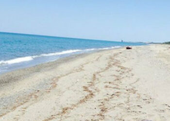 Cirò: Piccola pesca, favorire un servizio stagionale nell’area costiera della Marinella