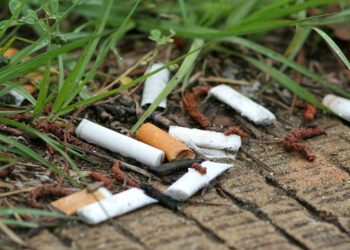 Venerdì 15 Marzo: Studenti in piazza a Crotone e in 40 paesi, la manifestazione internazionale delle scuole per l’ambiente