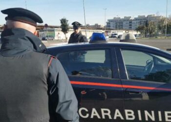 Crotone, condannato per violazione al Testo Unico sugli stupefacenti: arrestato