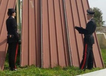Cercano di caricare su un autocarro pannelli isotermici, beccati due pregiudicati dai Carabinieri e arrestati