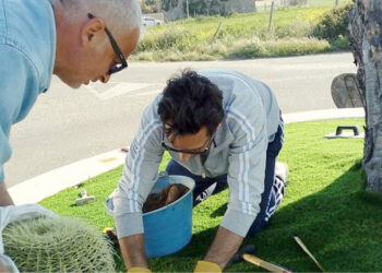 Cirò Marina: Città Pulita e Imprenditore creano un nuovo look alla rotonda di via Torrenova