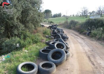 Denunciata un’imprenditrice dai Carabinieri Forestali per abbandono rifiuti d’attività d’impresa