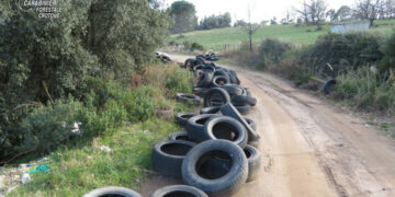 Denunciata un’imprenditrice dai Carabinieri Forestali per abbandono rifiuti d’attività d’impresa