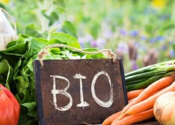 In pubblicazione il nuovo bando del PSR a sostegno dell’Agricoltura Biologica