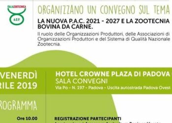 La zootecnia bovina da carne fa sinergia e sistema