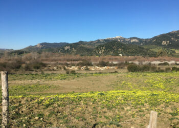 Pic-nic in localita’ pipino 25 aprile 2019 “liberiamo la biovalle del nica’ dalla monnezza”