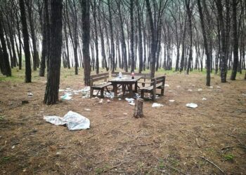 Pineta Comunale: Appello della Commissione a rispettare il luogo, così caro agli abitanti di Cirò Marina