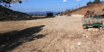 Sbanca illegalmente un terreno del Comune di Cotronei, denunciato Carabinieri Forestali