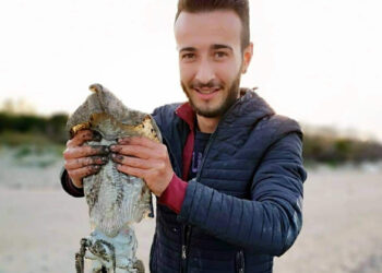 Seppia record di circa 3 chili, pescata da un pescatore cirotano nelle acque della Marinella di Cirò