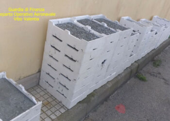 Sequestrati 5 quintali di “bianchetto” a bordo di un furgone sulla SS106, multato conducente di Cirò Marina