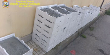 Sequestrati 5 quintali di “bianchetto” a bordo di un furgone sulla SS106, multato conducente di Cirò Marina