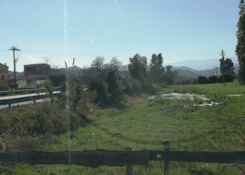 Sversava reflui nel territorio di Rocca di Neto con autorizzazione allo scarico scaduta, Denunciato dai Carabinieri Forestali