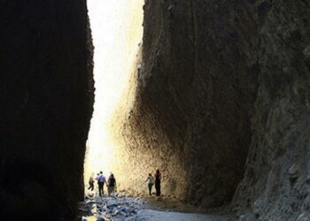 Conclusa la concertazione tra i Dipartimenti regionali Agricoltura e Risorse Agroalimentari ed Ambiente