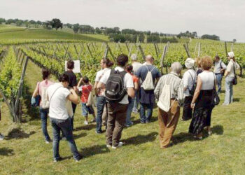 Cantine Aperte, oggi il primo week end di appuntamenti: storie di bottiglie e territorio