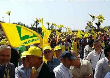 Coldiretti: emergenza cinghiali sempre di più fuori controllo occorre fare sul serio