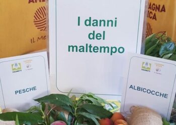Coldiretti, una primavera anomala che ritarda: il report delle gravi difficoltà per l’agricoltura calabrese