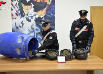 Crotone: Sorpreso dai Carabinieri con 3 kg di droga, arrestato
