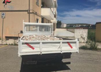 Crotone: Guida Autocarro pieno di detriti edili senza autorizzazione, denunciate tre persone e 1000 euro di multa