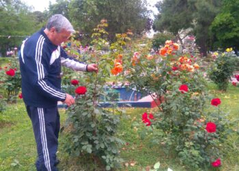 Crotone, quando i parchi pubblici sono ben curati è piacevole frequentarli
