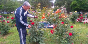 Crotone, quando i parchi pubblici sono ben curati è piacevole frequentarli