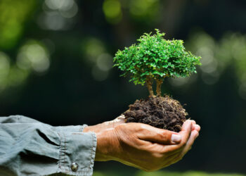 Il 7 maggio, Ambiente e salute a Crotone: una relazione da conoscere