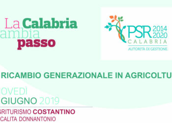 La Calabria cambia passo: il ricambio generazionale in agricoltura