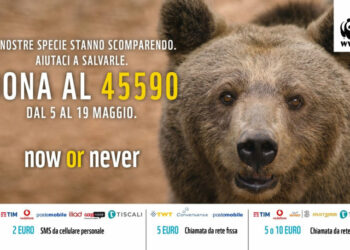 Oggi domenica 19 maggio si festeggiano le Oasi WWF, un rifugio sicuro per la biodiversità italiana