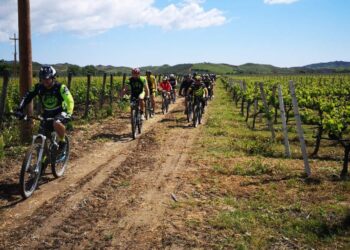 Oltre 70 appassionati di Mountain bike provenienti da tutta la provincia e regione immersi nelle vigne del cirotano