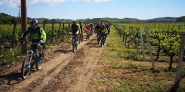 Oltre 70 appassionati di Mountain bike provenienti da tutta la provincia e regione immersi nelle vigne del cirotano