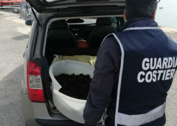 “Pizzicato” a catturare ricci di mare, multa di 4000 euro ad un cittadino crotonese