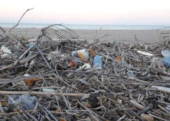 Plastica: WWF, bene consiglio UE su direttiva ma ora parlamento approvi legge salvamare