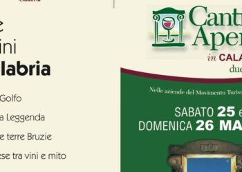 Cantine aperte, il Turismo del Vino come risorsa per la Calabria ed i territori