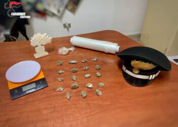 Cirò Marina: Custodiva sostanza stupefacente all’interno della fruttivendola, commerciante denunciato