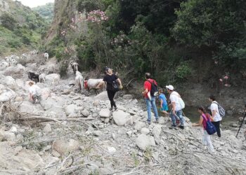 Conclusa con grande successo di pubblico la Festa della Transumanza a Melissa
