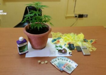 Controlli antidroga dei Carabinieri a Crucoli e Torretta: Un minorenne e un 23enne denunciati