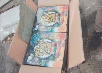 Crotone: Deteteneva in un furgone armi illegali, munizioni ed esplosivi, arrestata 45enne ucraina