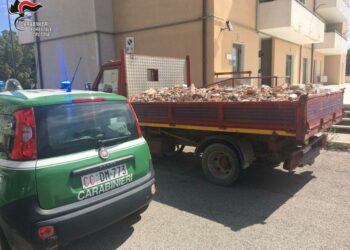 Crotone, Trasportava rifiuti di demolizione sulla SS106: due denunciati dai Carabinieri forestali