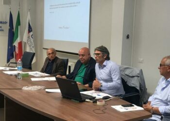 Crotone Città dello Sport, Frisenda: “si lavora all’organizzazione del più grande evento nazionale sportivo”