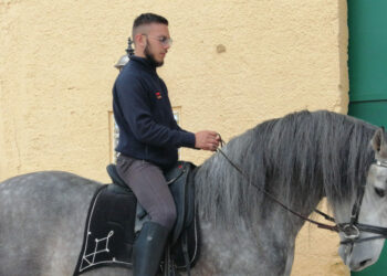 Il cavaliere di cavalli spagnoli Vincenzo De Leo prende un secondo diploma all’EquiSport di Matera