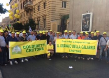 Coldiretti, trebbiatura del grano al via in una stagione  tra luci e ombre