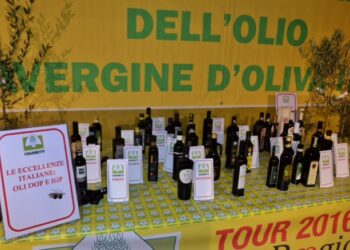 Olio, Coldiretti: crollo del 69%della produzione e import dai paesi africani- Aumentare i controlli