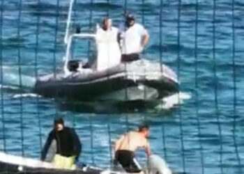 Pesca di frodo del riccio di mare: tenta la fuga in mare ma viene inseguito con un natante privato dai militari della Capitaneria di porto, multato